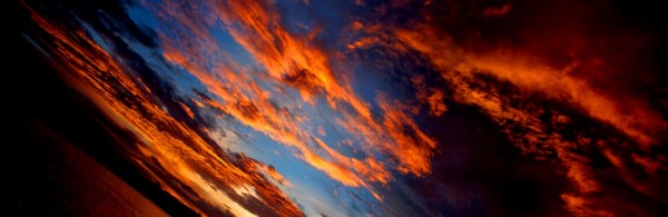Perspectives d'avenir