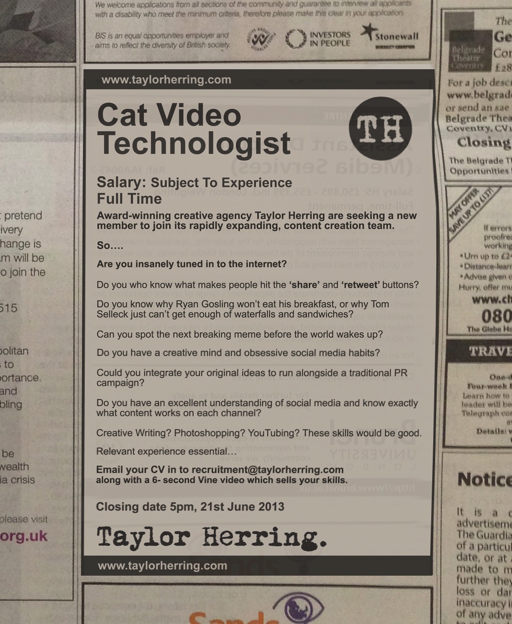 Cat Video Technologist