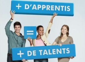 Campagne de promotion de l'apprentissage, 2011