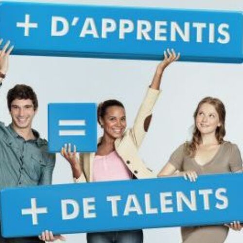 Campagne de promotion de l'apprentissage, 2011