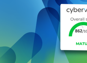 Cybervadis