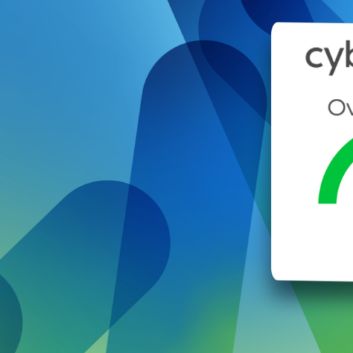 Cybervadis